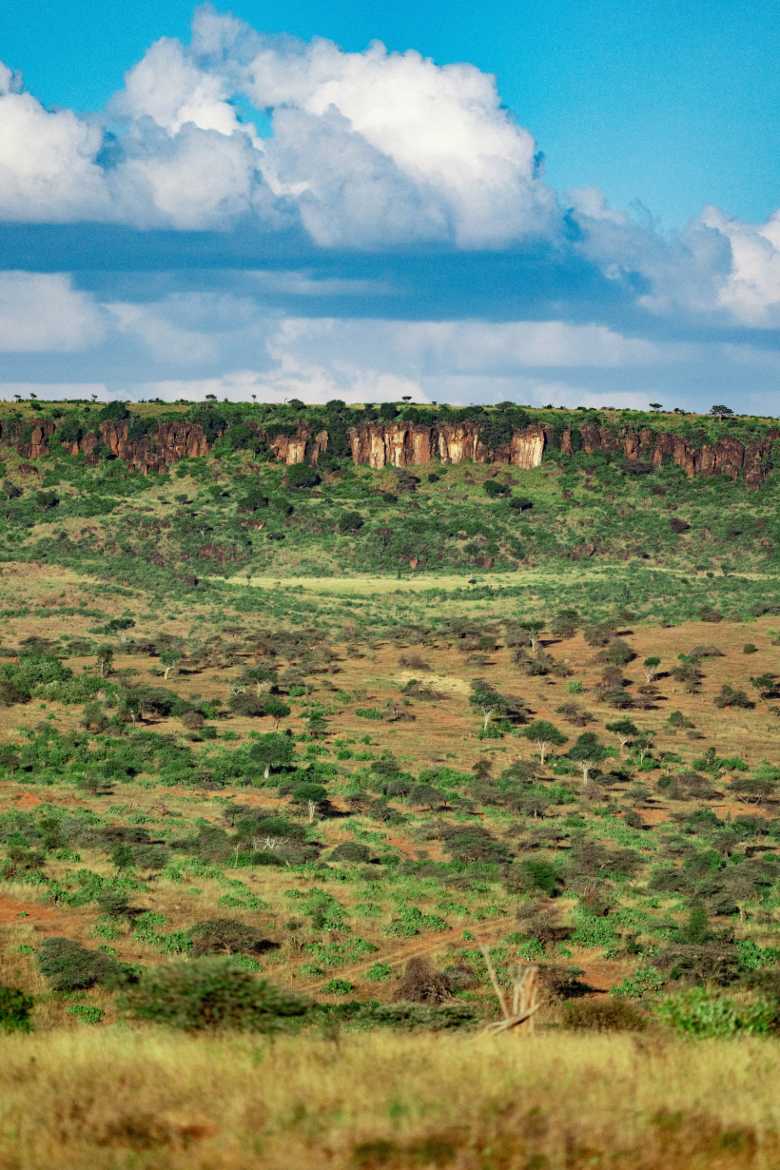 Africa Landscape | Ameliya Safaris