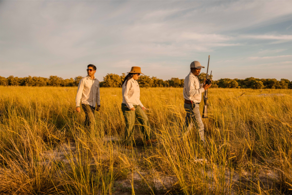 Bush Walks in african safari