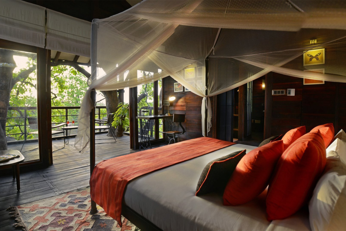 Pench Tree Lodge | Ameliya Safaris